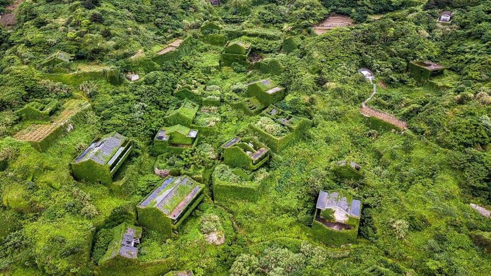 Ngôi làng bỏ hoang bất ngờ gây “sốt” bởi những nhà cây đẹp mê mẩn như cổ tích - 4 Ngôi làng bỏ hoang bất ngờ gây “sốt” bởi những nhà cây đẹp mê mẩn như cổ tích - 4