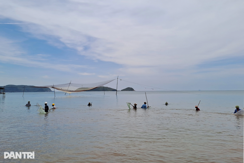 Trúng lộc biển, người dân vớt dọc bờ cũng kiếm tiền triệu mỗi ngày - 1 Trúng lộc biển, người dân vớt dọc bờ cũng kiếm tiền triệu mỗi ngày - 1
