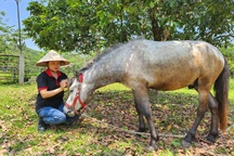 Biến vườn hoang thành điểm "check in" vạn người mê, 9X thu nửa tỷ đồng