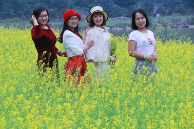 Vườn hoa cải rực vàng đẹp mê hồn khiến du khách nao lòng ở Thung Nham