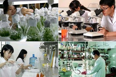 Chính phủ ưu tiên đầu tư phát triển 58 công nghệ cao