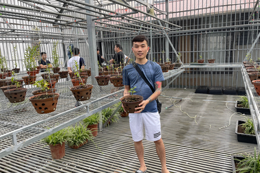 Nghệ nhân Tạ Quang Bộ và bí quyết thành công với việc trồng và chăm sóc lan