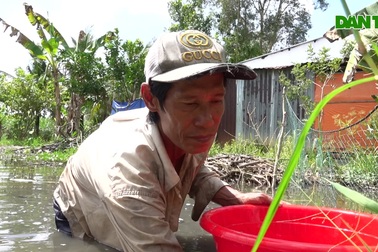 Cha mẹ bỏ rơi, ông bà ngoại nuôi đứa cháu nhiễm chất độc da cam