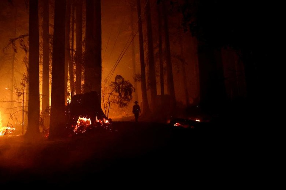 650 đám cháy rừng càn quét bang California, 7 người chết - 7 650 đám cháy rừng càn quét bang California, 7 người chết - 7
