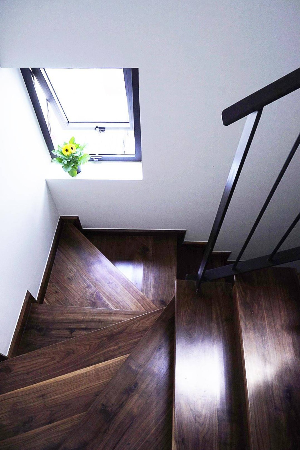Nhà 39 m2 trong hẻm ở Sài Gòn như rộng ra gấp đôi nhờ độc chiêu thiết kế - 3 Nhà 39 m2 trong hẻm ở Sài Gòn như rộng ra gấp đôi nhờ độc chiêu thiết kế - 3
