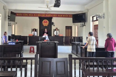 Kê khai sai suốt 14 năm để hưởng bảo hiểm, người phụ nữ bị khởi kiện