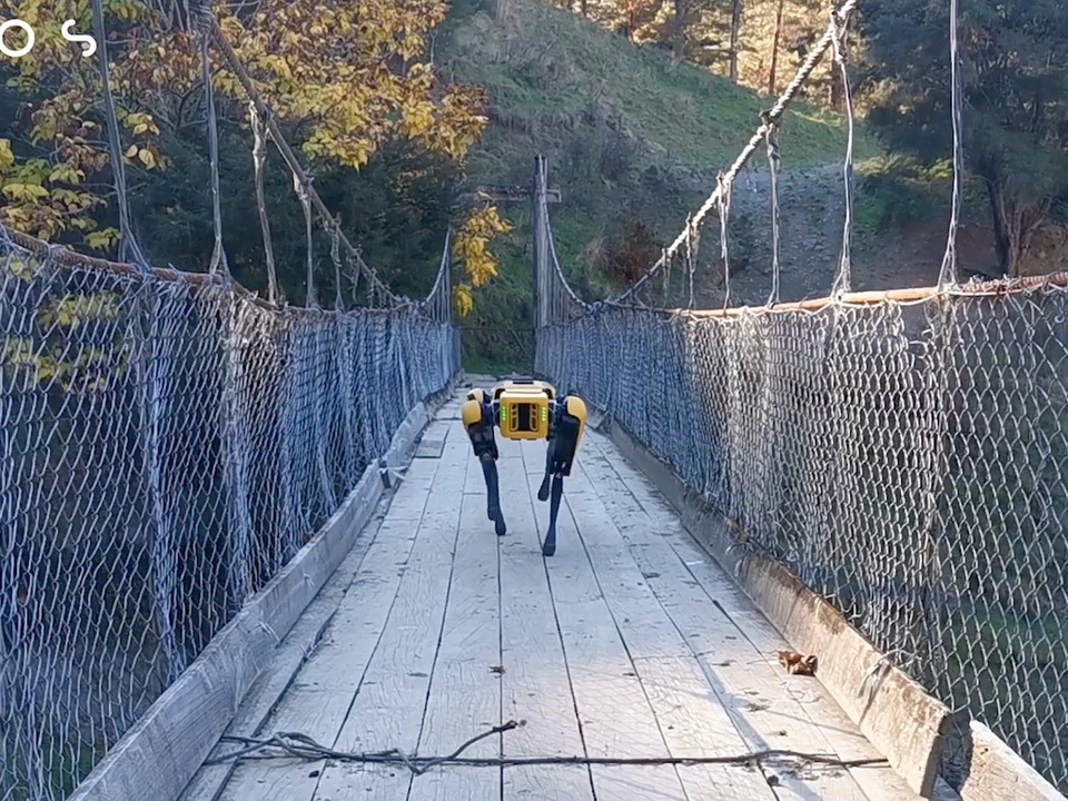 Khi chó chăn cừu là robot - 3 Khi chó chăn cừu là robot - 3