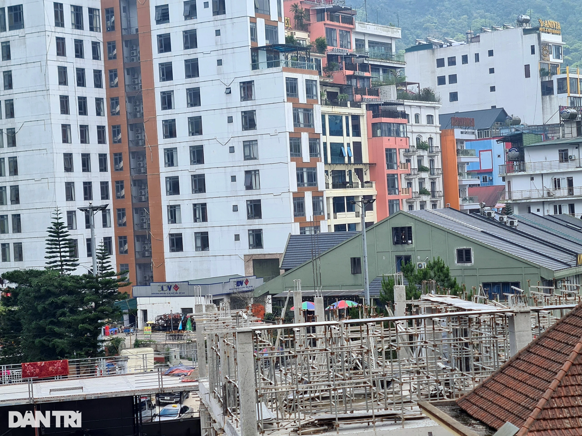 Cận cảnh rừng bê tông ở khu du lịch Tam Đảo - 10