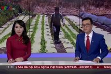 Từ bỏ áp lực công việc, nhiều lãnh đạo đi làm nông dân ở Israel