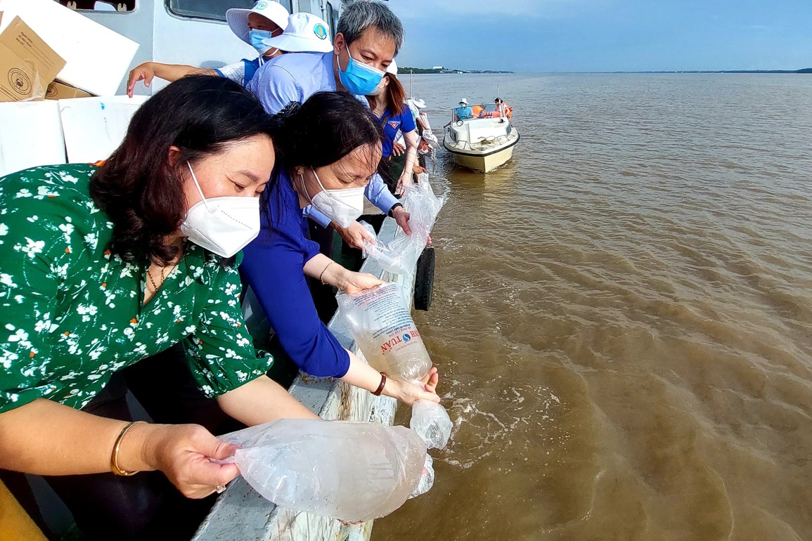 Thả hơn 4 triệu con cua biển và tôm sú để tái tạo nguồn lợi thủy sản biển - 1 Thả hơn 4 triệu con cua biển và tôm sú để tái tạo nguồn lợi thủy sản biển - 1