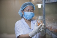 Mô hình nuôi đông trùng hạ thảo đạt chuẩn GACP-WHO của Việt Nam