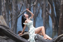 "Rừng chết" giữa hồ xanh ở Măng Đen, khung cảnh ma mị hút khách check-in