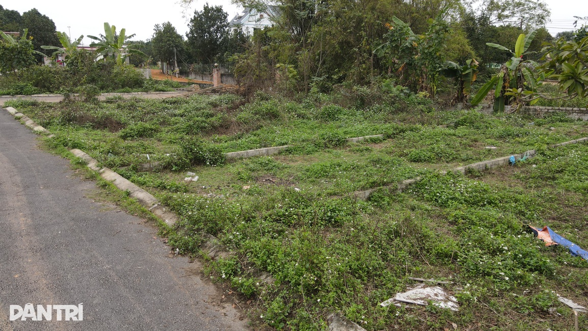 Đua nhau cắt lỗ đất nền phân lô ven đô - 1 Đua nhau cắt lỗ đất nền phân lô ven đô - 1