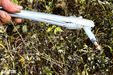 Hàng trăm bơm kim tiêm, lọ nước cất nằm gần cổng trường học