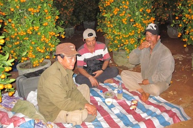 Chợ hoa ế ẩm, người bán "nhậu cho quên sầu"