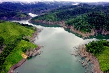 Xem xét, kiểm điểm trách nhiệm vụ 25ha rừng bị chết ở Kon Tum