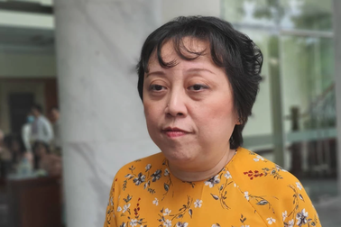 Vụ "rau VietGAP rởm": "Chưa có căn cứ nói đó là rau không sạch"