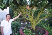 Trồng loài hoa quen thuộc, nông dân bán 1 cây đủ tiền ăn chơi cả năm