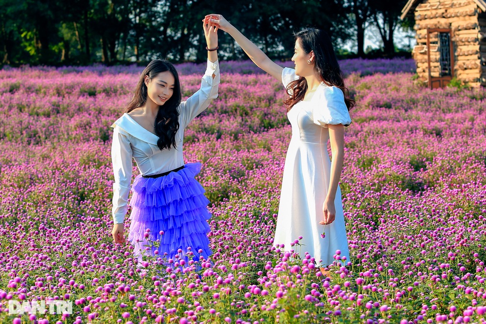 Lạc vào cánh đồng hoa tím lịm như trời Âu ở Hà Nội - 4 Lạc vào cánh đồng hoa tím lịm như trời Âu ở Hà Nội - 4