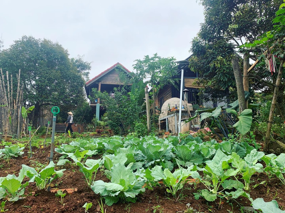 Ấn tượng nhà vườn xinh đẹp, xanh mát trong rẫy cà phê của gia đình Đắk Lắk - 7 Ấn tượng nhà vườn xinh đẹp, xanh mát trong rẫy cà phê của gia đình Đắk Lắk - 7
