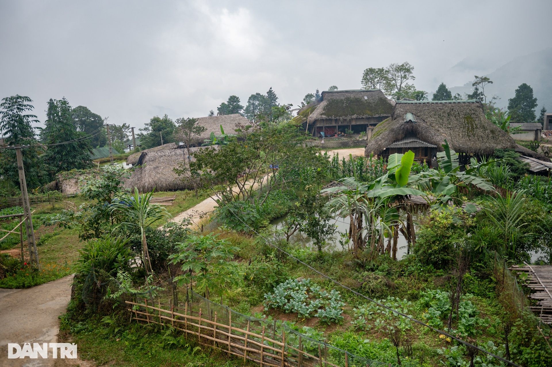 Ngắm những mái nhà cổ phủ kín rêu xanh trên bản Hà Giang ở độ cao 1.000m - 2