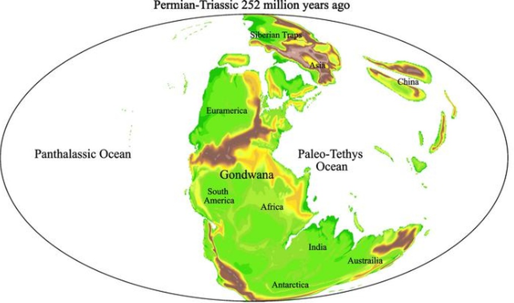 El Nino tàn khốc đã gây tuyệt chủng hàng loạt trên Trái Đất - 2