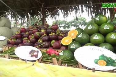 Độc đáo Tuần lễ trái cây "Trên bến, dưới thuyền" lần đầu tiên tại TPHCM