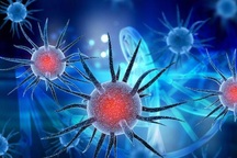 Covid-19 ảnh hưởng đến người bị bệnh hen như thế nào?