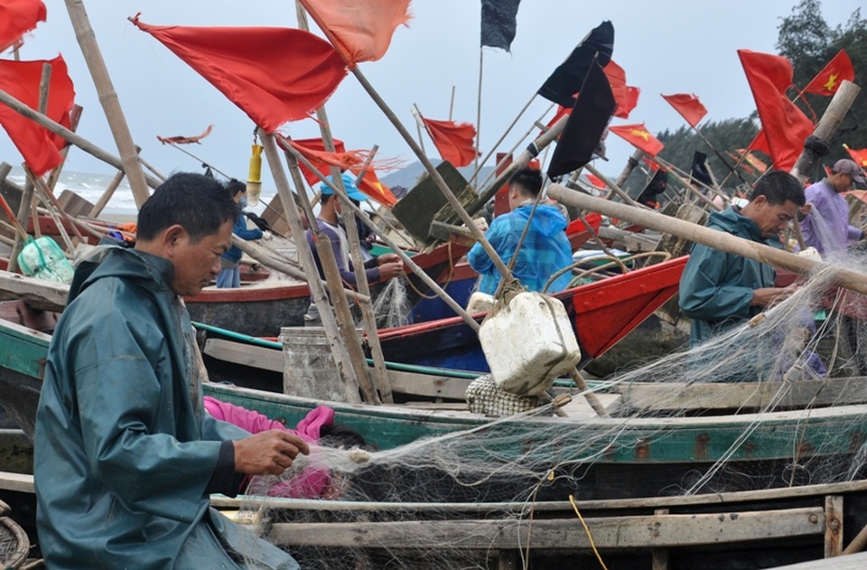 Xông biển đầu năm, mỗi ngày thu nhập cả triệu đồng - 3 Xông biển đầu năm, mỗi ngày thu nhập cả triệu đồng - 3