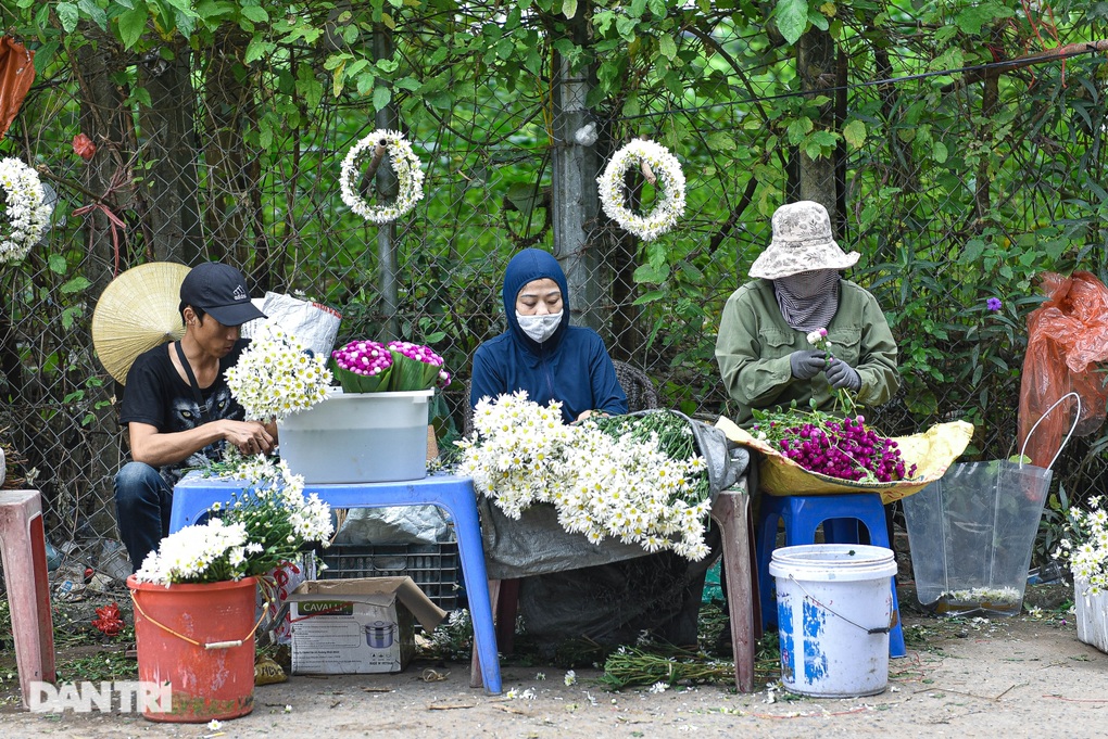 Vườn cúc họa mi thất thủ người dân chen chân chụp ảnh ở Hà Nội - 13