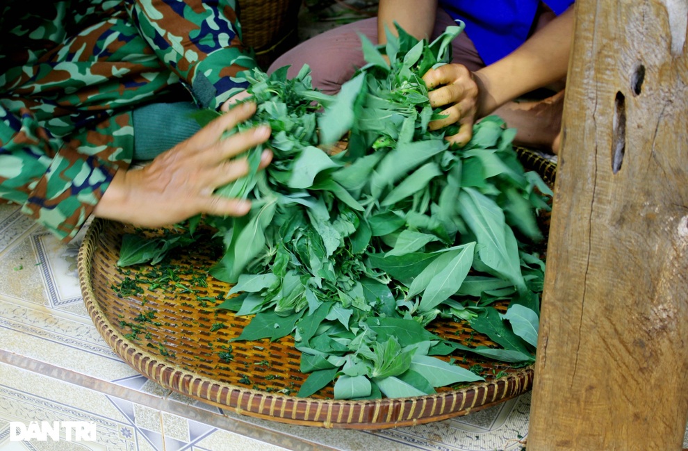 Độc đáo món lá mì xào của bà con đồng bào Tây Nguyên - 2 Độc đáo món lá mì xào của bà con đồng bào Tây Nguyên - 2