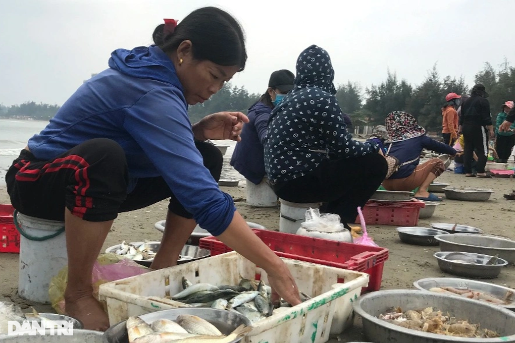Hải sản bán theo mớ, khách ra tận bãi biển tranh nhau mua - 4 Hải sản bán theo mớ, khách ra tận bãi biển tranh nhau mua - 4