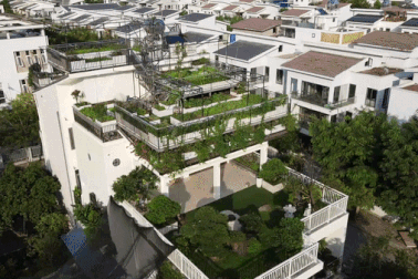 "Ruộng bậc thang" 300m2 trên mái căn biệt thự của vợ chồng U70 ở Hà Nội