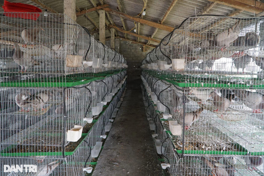 Người đàn ông gây bất ngờ từng là con nợ của cả làng - 4 Người đàn ông gây bất ngờ từng là con nợ của cả làng - 4