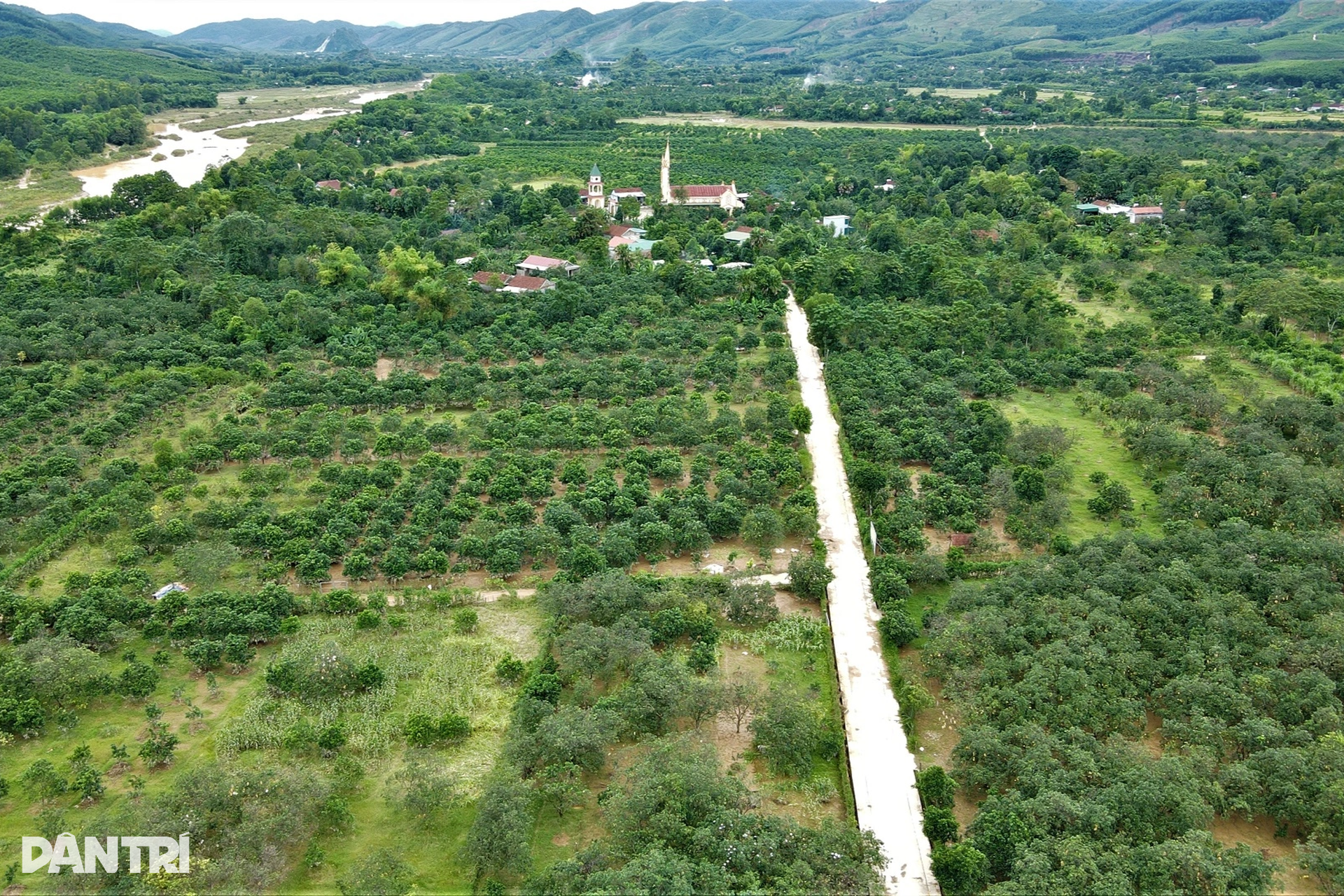 Hàng chục héc ta cây ăn quả đặc sản chìm trong nước lũ, dân vớt vát tài sản - 1 Hàng chục héc ta cây ăn quả đặc sản chìm trong nước lũ, dân vớt vát tài sản - 1