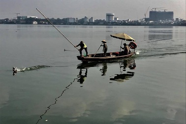 Làm rõ thông tin công nhân môi trường đập vịt trời trên Hồ Tây