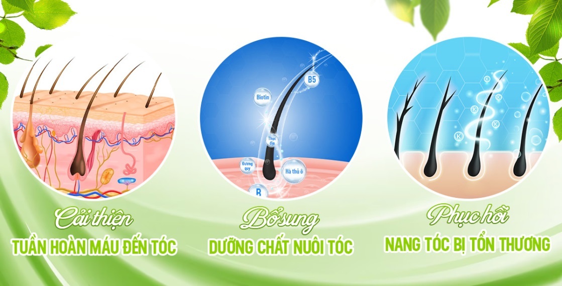 Đừng chỉ mãi skincare, đã đến lúc bạn cần quan tâm tới mái tóc của mình - 1