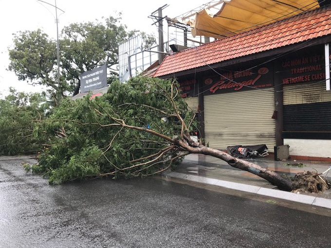 TP.Nha Trang-Khánh Hòa: Ra quân khắc phục hậu quả bão số 12  - Ảnh 2.