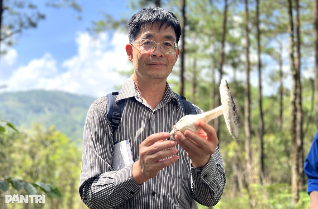 Người dân vào rừng thu lộc trời, chuyên gia cảnh báo - 2 Người dân vào rừng thu lộc trời, chuyên gia cảnh báo - 2