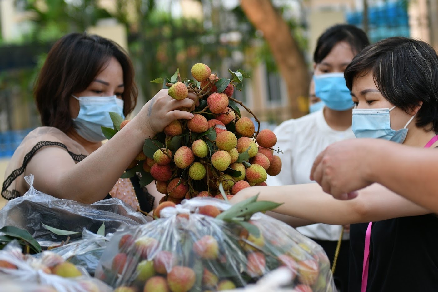 "Luồng xanh" cho nông sản và góc nhìn tiêu dùng ở thị trường 100 triệu dân