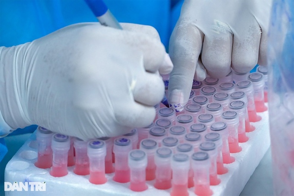 Nguy cơ xâm nhập biến chủng Omicron vào Việt Nam là rất lớn - 1 Nguy cơ xâm nhập biến chủng Omicron vào Việt Nam là rất lớn - 1
