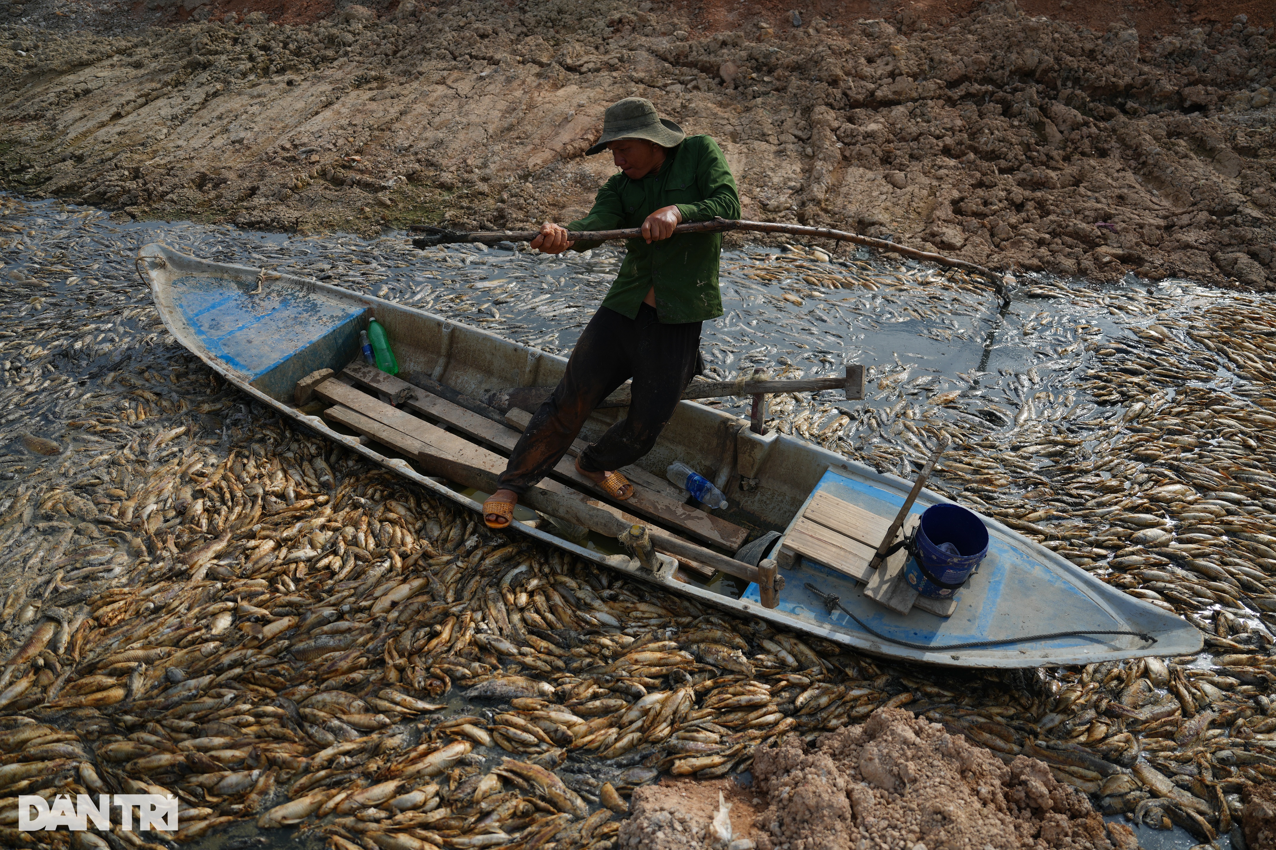 View - Nước cạn đáy, 200 tấn cá chết trắng hồ Sông Mây ở Đồng Nai | Báo Dân trí