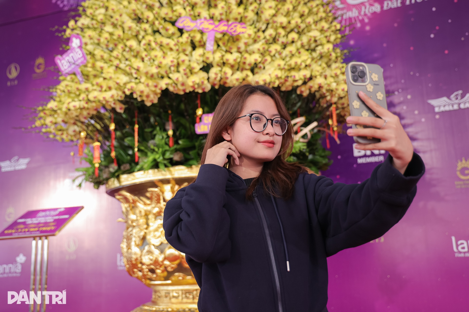 Chậu lan hồ điệp nghìn cành, nặng hơn 1 tấn có giá bán 3,8 tỷ đồng - 6 Chậu lan hồ điệp nghìn cành, nặng hơn 1 tấn có giá bán 3,8 tỷ đồng - 6