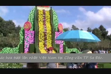 Thác hoa lớn nhất  Việt Nam đặt tại Công viên TP Sa Đéc, tỉnh Đồng Tháp