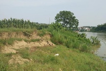 Lời đề nghị xin được đào cát sông Cầu bị chính quyền từ chối quyết liệt!