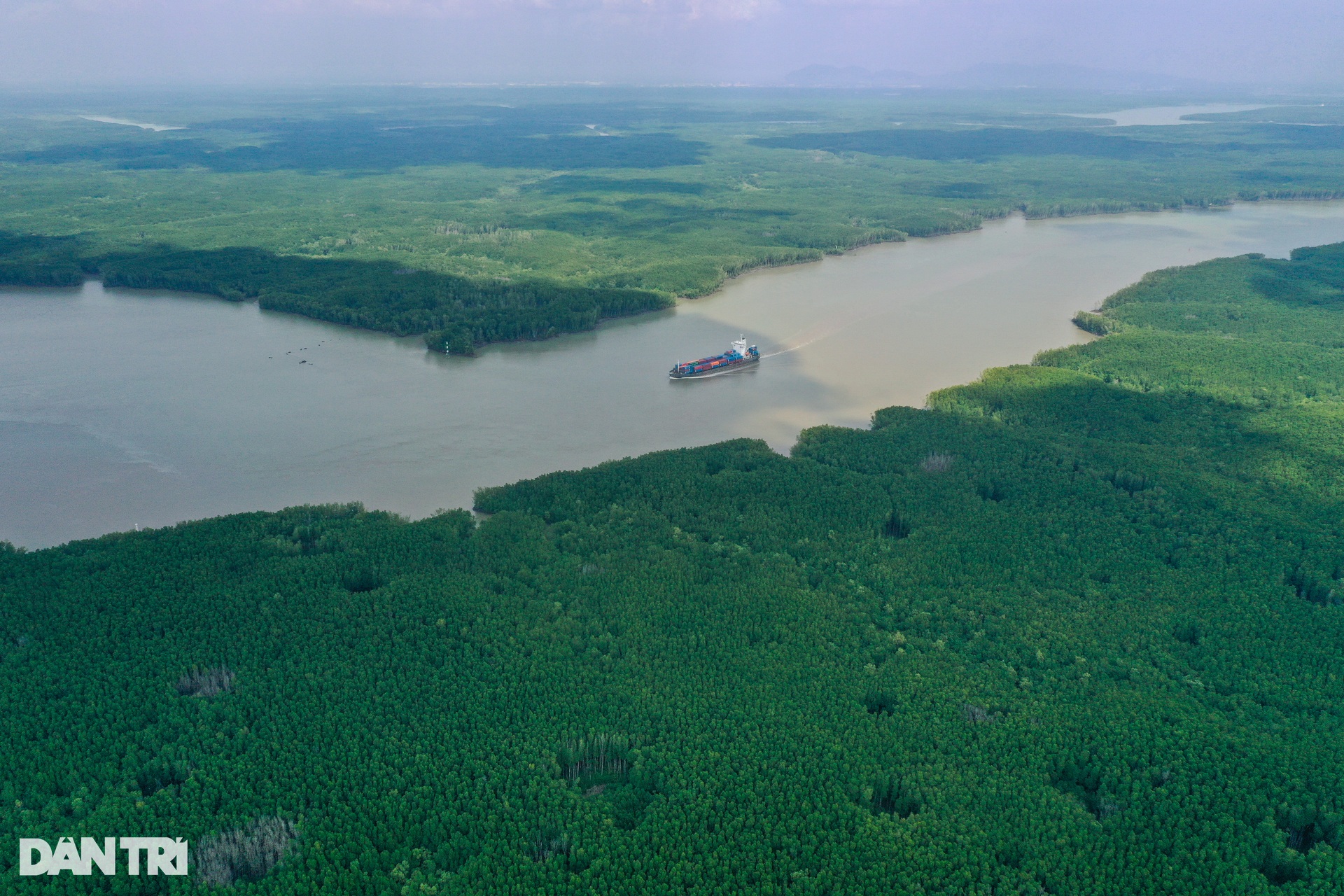 Cận cảnh rừng phòng hộ Cần Giờ được đề cử thành khu Ramsar thế giới - 10 Cận cảnh rừng phòng hộ Cần Giờ được đề cử thành khu Ramsar thế giới - 10