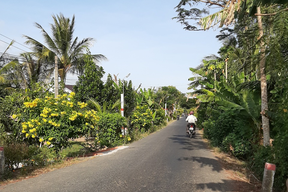 Ấn tượng những con đường hoa nông thôn mới kiểu mẫu ở Sóc Trăng - 8 Ấn tượng những con đường hoa nông thôn mới kiểu mẫu ở Sóc Trăng - 8