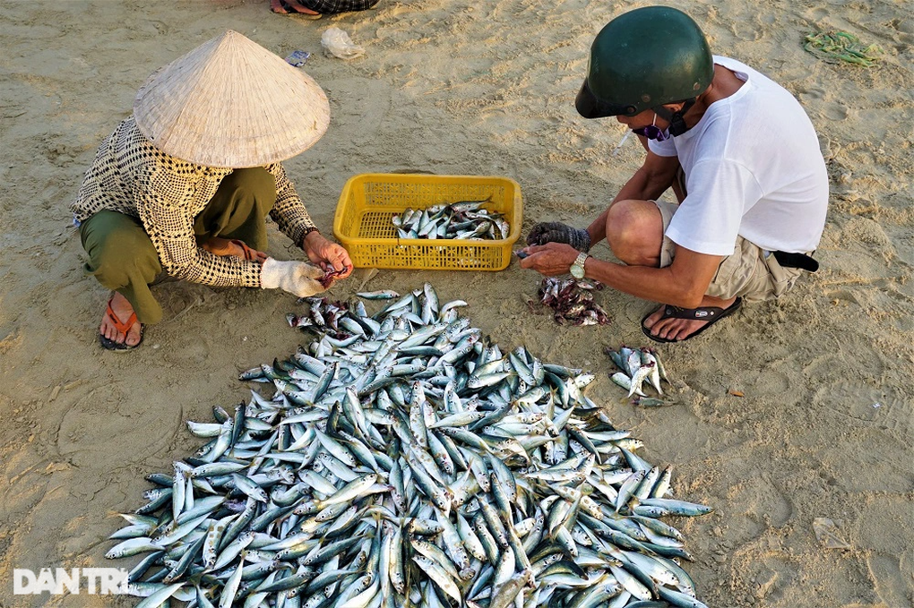 Phiên chợ lúc rạng đông, chỉ bán cá nục tươi - 12 Phiên chợ lúc rạng đông, chỉ bán cá nục tươi - 12