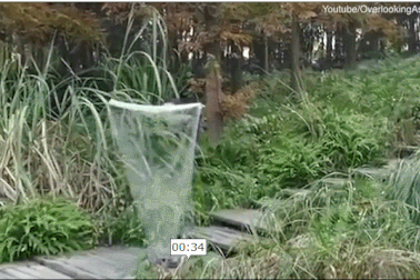 "Áo tàng hình" gây xôn xao mạng xã hội Trung Quốc