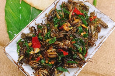 Côn trùng "xấu lạ" thành đặc sản, khách "đổ mồ hôi" thưởng thức ở Đồng Nai